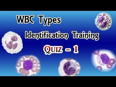 WBC Identification Training Quiz ( Part 1/3 )