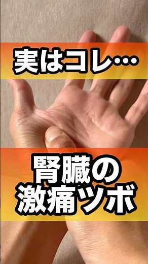 腎臓が気になる人に押してもらいたい激痛ツボ#腎臓 #ツボ押し