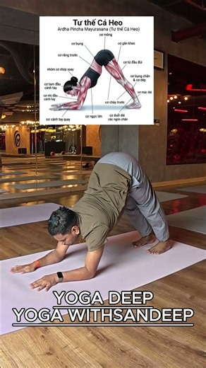 Dolphin Pose: Tips for slim shoulders and healthy back. 🧘 ♀️ || Yoga With Sandeep || India
