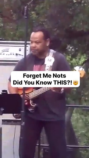 53K views · 601 reactions | Forget Me Nots (Did You Know THIS!?) ⚡️. | ScottsBassLessons.com | Facebook