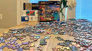 Puzzle and board game sales surge amid COVID-19 pandemic