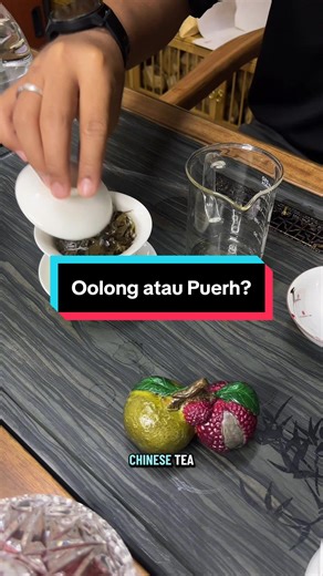 Oolong atau Puerh Tea? #sharing #puerhtea #oolongtea