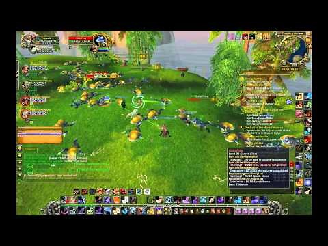 Guide for Misdirection Macros and Gulp Frogs Farming - World of Warcraft Hunter