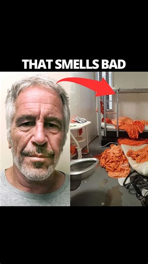 They hid it from You 👁 on Instagram: "The silence just ended. On January 30, 2026, the Justice Department unsealed a massive 3.5 million pages of records-the largest release in the history of this case. We’re talking 180,000 images, 2,000 videos, and direct communications that have been buried for years. This isn’t just about “flight logs” anymore; it’s about the full web of associations at the highest levels of power. But stay alert—with this much data, Al generated “leaks” are flooding the fe