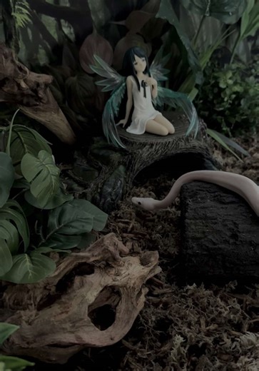 saya visits her enclosure for 30 seconds and the baby got curious #saya #sayanoutaedit #ballpython #snake #bp