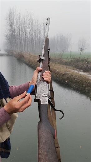 Elegant Classic 12 Gauge Shotgun