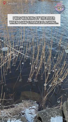 822K views · 4.7K reactions | Pure meditation! 朗 | Now I've Seen Everything | Facebook