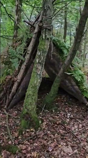 Building a Primitive Shelter | Survival Timelapse