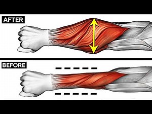 The Best Forearm Workouts for Massive Growth! (Very Effective)💪