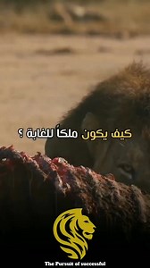 529K views · 10K reactions | ✨️ ما هي عقيلتك أنت ✨️ #ONLINE_BUSSINESS  #مشاريع_رقمية #TRADING ✔️ #TRAINING ✔️ #BUSINESS ✔️ #MARKETING ✔️ #ADVERTISING ✔️ #CRYPTOCURRENCY ✔️ #SOCIALMEDIAMANGMENT ✔️ | Online Business مشاريع رقمية | Facebook