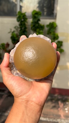 120 reactions · 8 comments | Unbelievable Monster Crystal of Botryoidal Yellow Fluorite on Amethyst. This massive Fluorite from Madhya Pradesh is unusually huge in size with perfect texture & formation. Surely one of the best & biggest! | Superb Minerals | Facebook