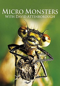 Micro Monsters with David Attenborough Season 1 - streaming