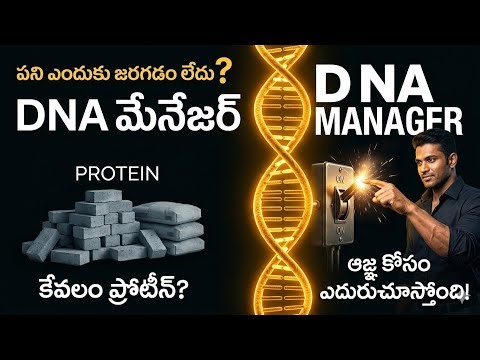 The Muscle Synthesis Blueprint: How to Speak to Your DNA 🧬