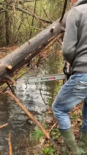 1.5M views · 8.6K reactions | Wood Working On The New Tree  #wood #working #woodart #woodworking #woodmachine #trees | Lisoryb24 | Facebook