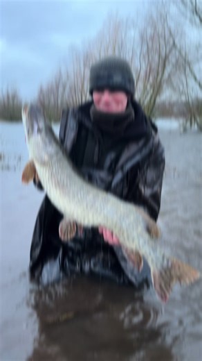 Amazing Fishing Adventures at Chew Reservoir