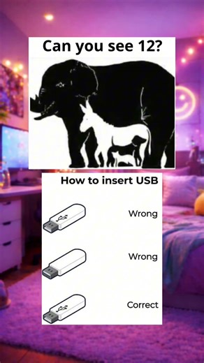 The USB 😭 #memes