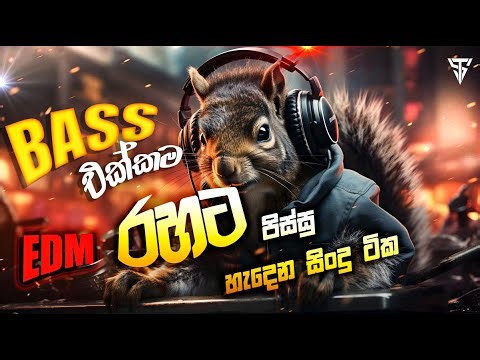 Bass එක්කම EDM රහට පිස්සු හැදෙන සිංදු ටික || EDM MIX songs collection