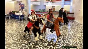 3.9K views · 13 reactions | Come on！ It is a lovely weather for a PonyCycle® toy ride together. Outside ponies are waiting Friends are calling Yoo hoo #PonyCycle amusement facility | PonyCycle | Facebook