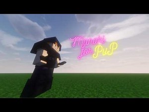 Tutorial on how to make a dummy for PvP in Minecraft 1.21.11 [English]