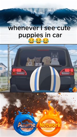 when I see cute puppies in the car | cute anime moments #anime #animenetwork