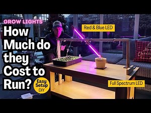 HOW MUCH do they COST TO RUN? Full Spectrum LED Grow lights
