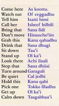 #english #oromo_tik_tok #education #marakienglish English Vocabular in Afaan Oromo #music beekaa