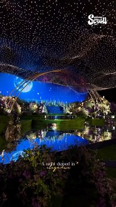 1.3K views · 179 reactions | COMMENT “INFO” TO GET LINK  4...