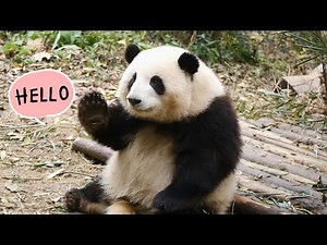 HeHua waves to her fans 😄