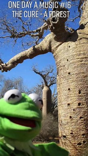 kermit_aux_chaussettes sur TikTok