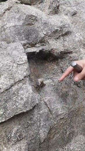 "Agate Stone Found & Cut | Valuable Rock That Pays Big!" #youtubeshorts