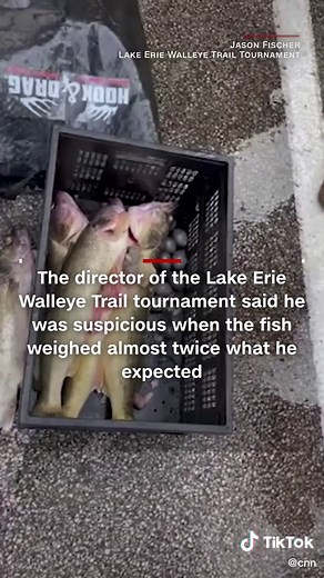 Cheaters Caught Using Weights and Fish Fillets in Fishing Competition