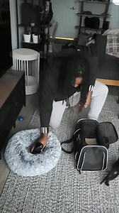 132K views · 4.6K reactions | Me: Trying to get the kittens comfortable after their spays and neuters The kittens, drunkenly walking around: what surgery? These littles ones could not sit still  All 4 have have pending applications and will be joining their forever homes in the next week! | Fostering kittens | Facebook