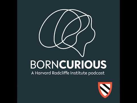 What Makes a Universal Story?