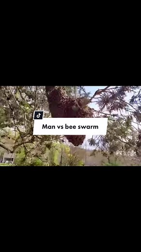 Man vs Bee Swarm - Yappy Beeman on YouTube
