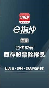 6大報價模式自由切，庫存除權息快速看【華南e指沖 APP 操作教學】