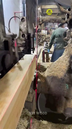 How Logs Turn Into Perfect Boards