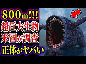 【総集編】８００mの超巨大未確認生物...目撃証言がヤバい...米軍が遭遇した怪物集【ゆっくり解説】【UMA・未確認生物】