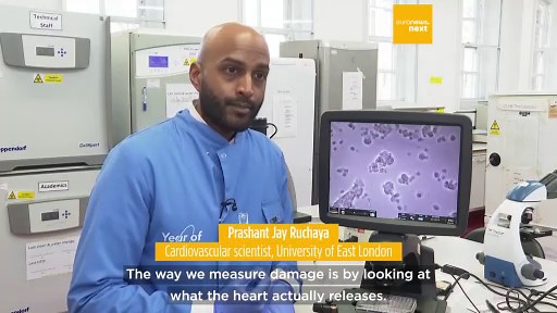 Scientists make lab-grown hearts to train AI tool