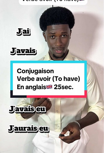 Grammaire Anglaise: Le Verbe Avoir