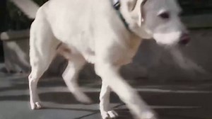 L.L. Bean TV Spot, 'Shop for Every Hike'