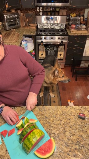 The Silver Farmhouse on Reels