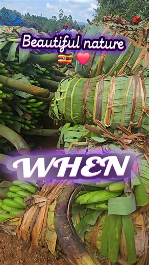 #creatorsearchinsights #stars #morning #comingsoon #gloow2011