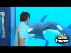 GREEN TYRANNY: How SeaWorld Has Been Smeared