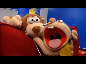 Jeffy gets bit by a monkey