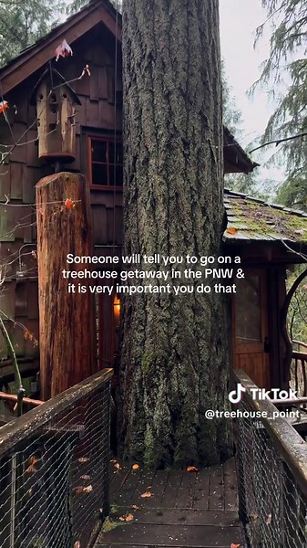 Get 20% off your stay! 🌲 In Washington state, tucked in a lush forest, is a treehouse bed and breakfast called Treehouse Point 💕 Our Early Bird special is nearing its end! Bookings made for Sept-Nov 2026 get 20% off using code: 162B6DF80A243772427F when booking by the end of November 27th. Link in bio! #washington #treehouse #forest #getaway #cabin
