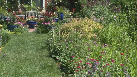 Proctor's Garden: How to create an English perennial border
