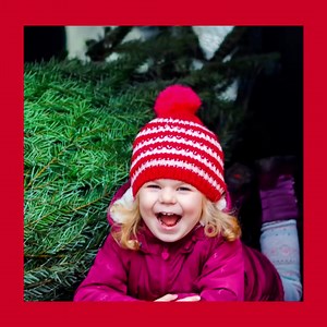 Whether you’re dashing through the snow or traveling over the river and through the woods during the holiday season, here’s a list of items to get your car ready before you leave. https://bit.ly/49wsUQ9. | Acuity Insurance | Facebook