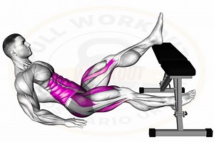 Full abs workout | Full workout