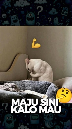 So Hilarious!