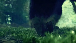 Humans Think They Rule the Earth… But Nature Tells a Different Story” #philosophy #life #earth | Lifelaps